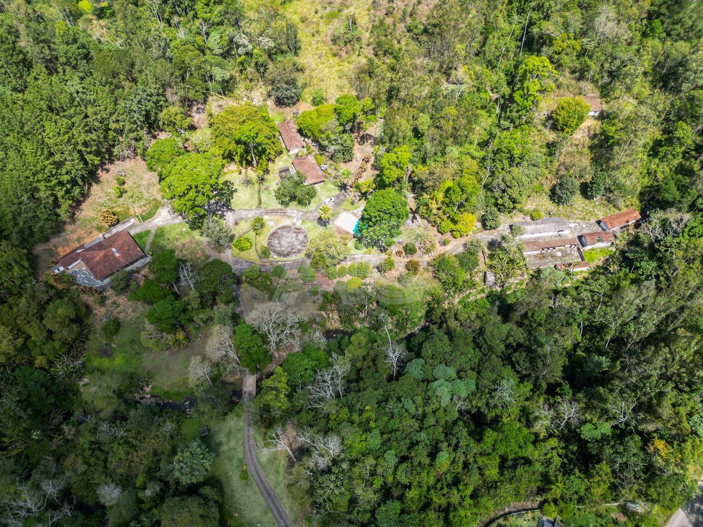 Fazenda à venda com 6 quartos, 149000m² - Foto 9