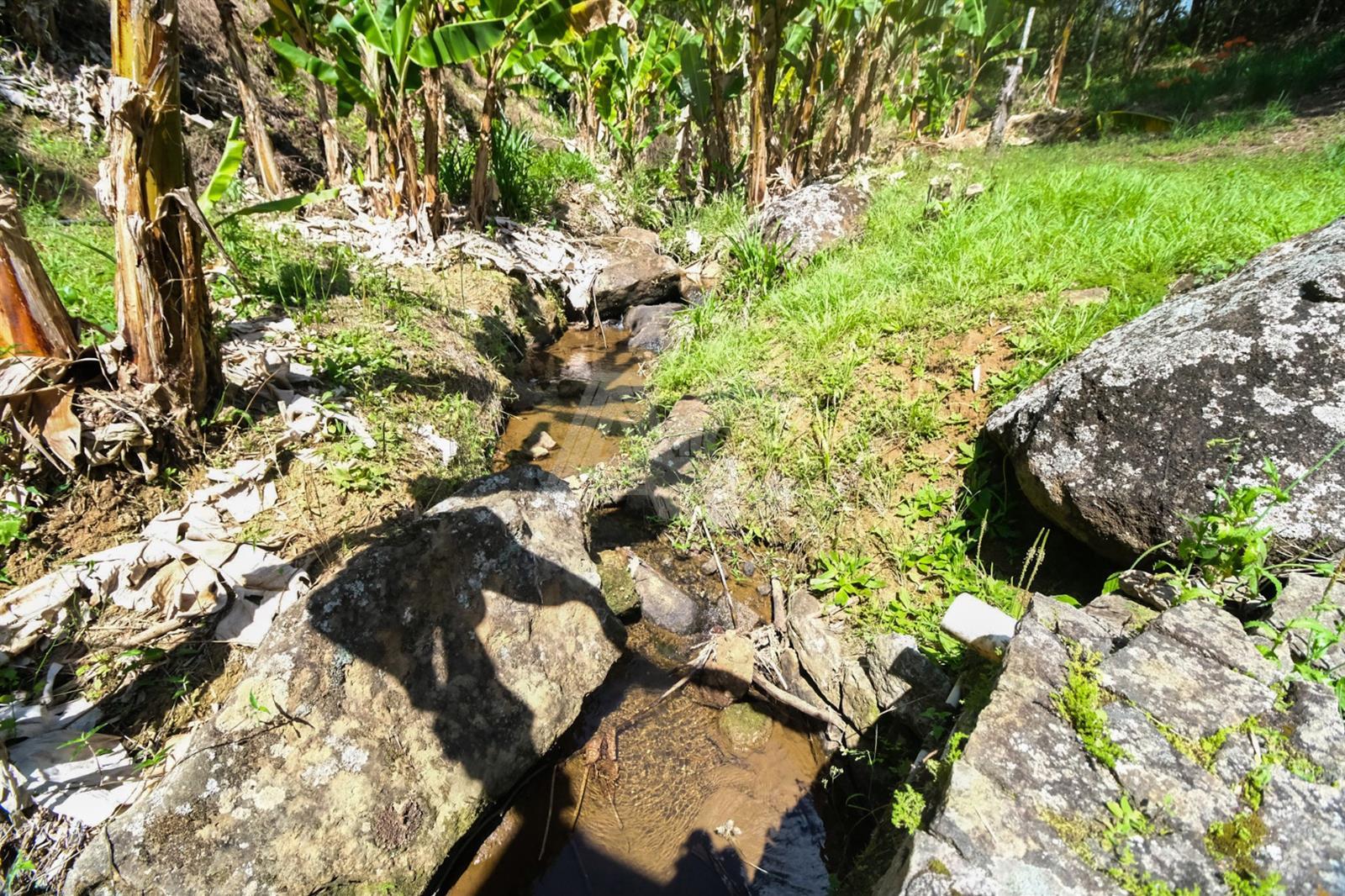 Fazenda à venda com 6 quartos, 149000m² - Foto 23