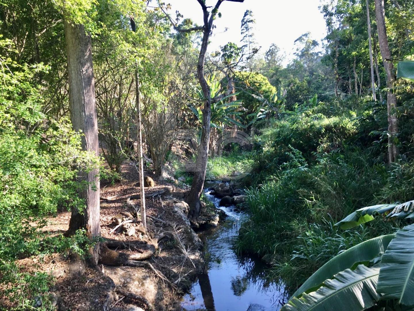 Fazenda à venda com 6 quartos, 149000m² - Foto 27