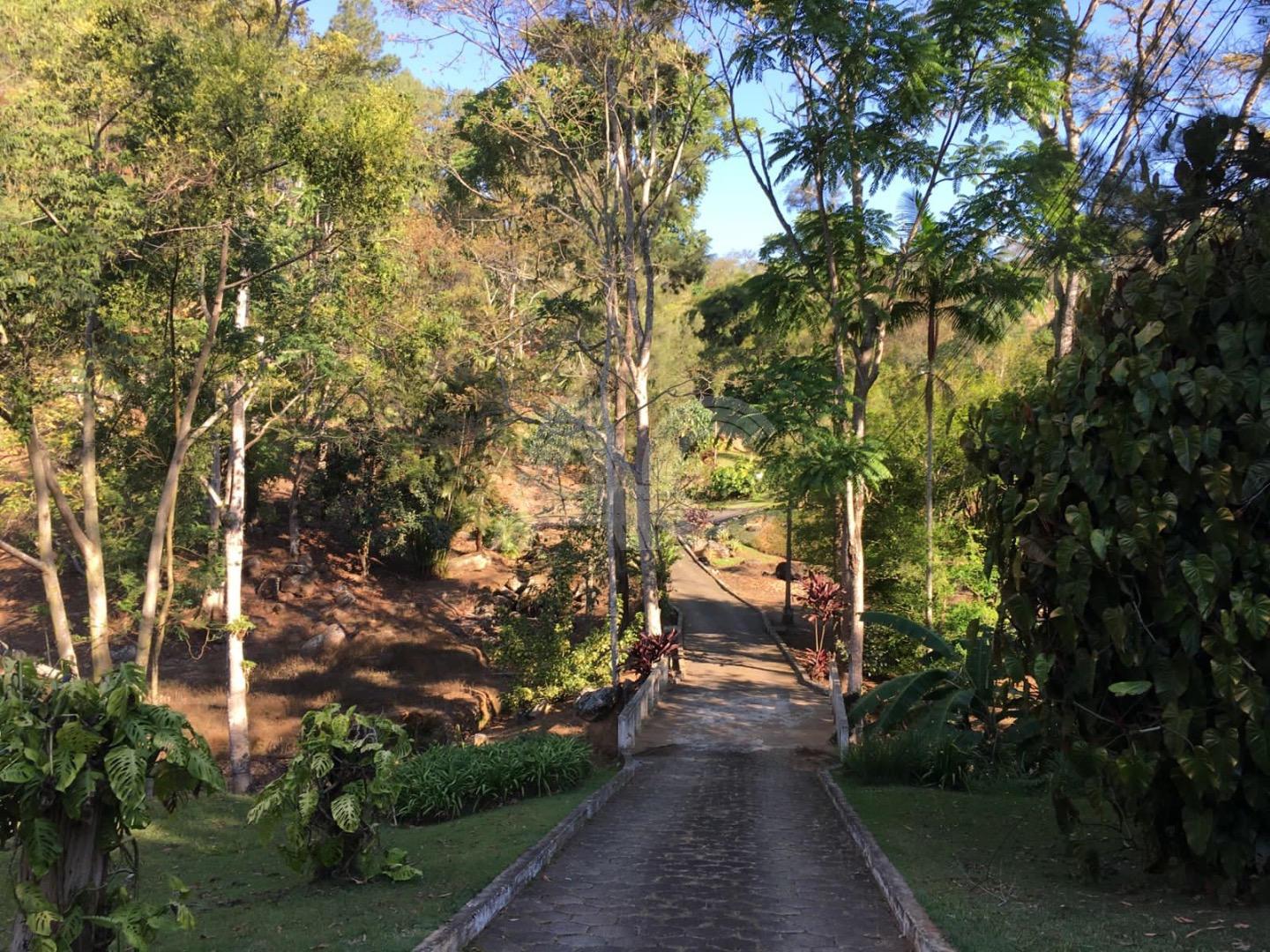 Fazenda à venda com 6 quartos, 149000m² - Foto 31